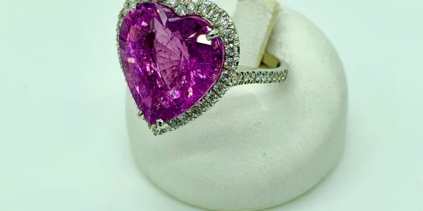 330364529_901614560982873_8706169815580264447_n